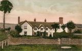 Hays Barton 