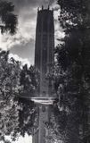 Tower  