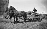 Hauling Firewood  