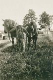 Leading the Horses 