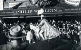 Mardi Gras Crowd 2  