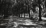 Louisiana Road Trip 