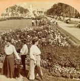 At the Gardens  