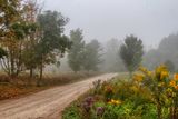 Road to the Nature Centre 