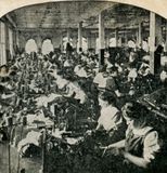 The Taylor Shop 