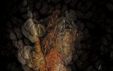 Distorted Corrosion  