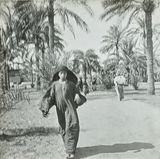 Street Scene 