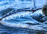 Ice  