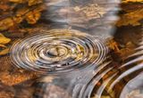 Ripples