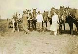 Posing with the Horses  