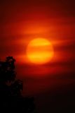 Smoky Sunrise 