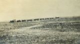 Grain Wagons  