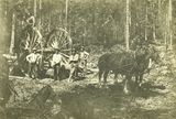 Logging 