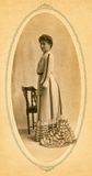 Elegant Lady 