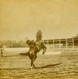 Miss Hickok 