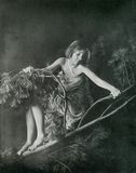 Dryad of the Pines 