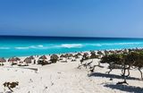 Delphines beach