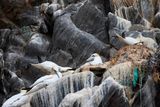 2500_AIS_0096_vis.jpg