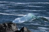 Wild Pacific Trail