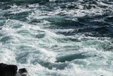 Wild Pacific Trail