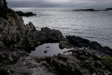 Wild Pacific Trail