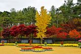 20_Autumn in the garden.jpg