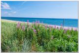 Beaut naturelle 4161.jpg