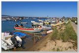 17 Ile de Culatra