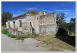 31 Vers les chnes - lige