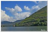 Valle du Douro 11.JPG