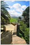 Ronda-33.jpg