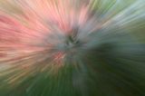 DSC08109.jpeg
