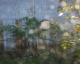 DSC08486.jpeg