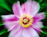 DSCF8799.jpg