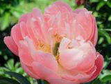 DSCF8869.jpg