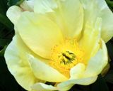 DSCF8876.jpg