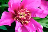 DSCF8884.jpg