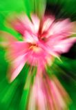 DSCF0036 1.jpg