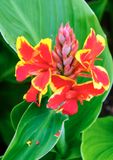 DSCF0059.jpg