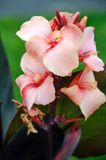 DSCF0181.jpg