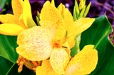 DSCF0422.jpg