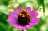 DSCF0475.jpg