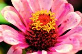 DSCF0482.jpg