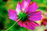 DSCF0489.jpg
