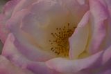 DSC00316.jpeg