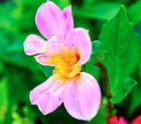 DSCF0493.jpg