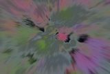 DSC01273.jpeg