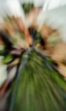 DSCF1120.jpg