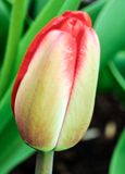 DSCF1319.jpg