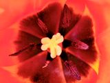 DSCF1344.jpg